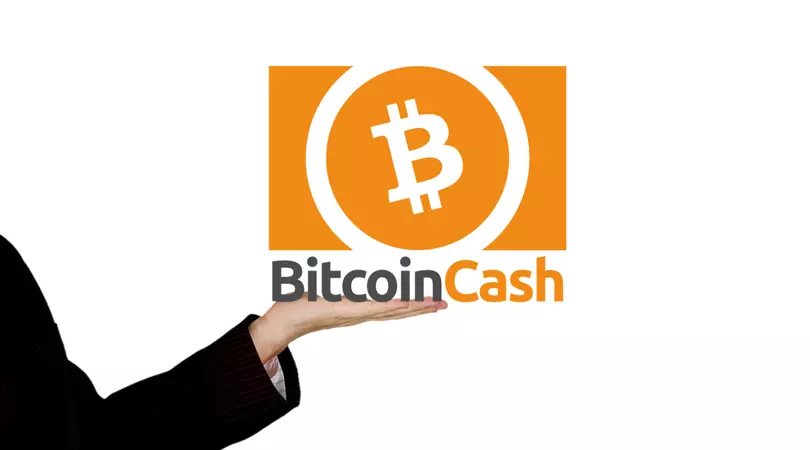 Bitcoin Cash’s halving drift slightly lowers the price of digital currencies and HASH levels