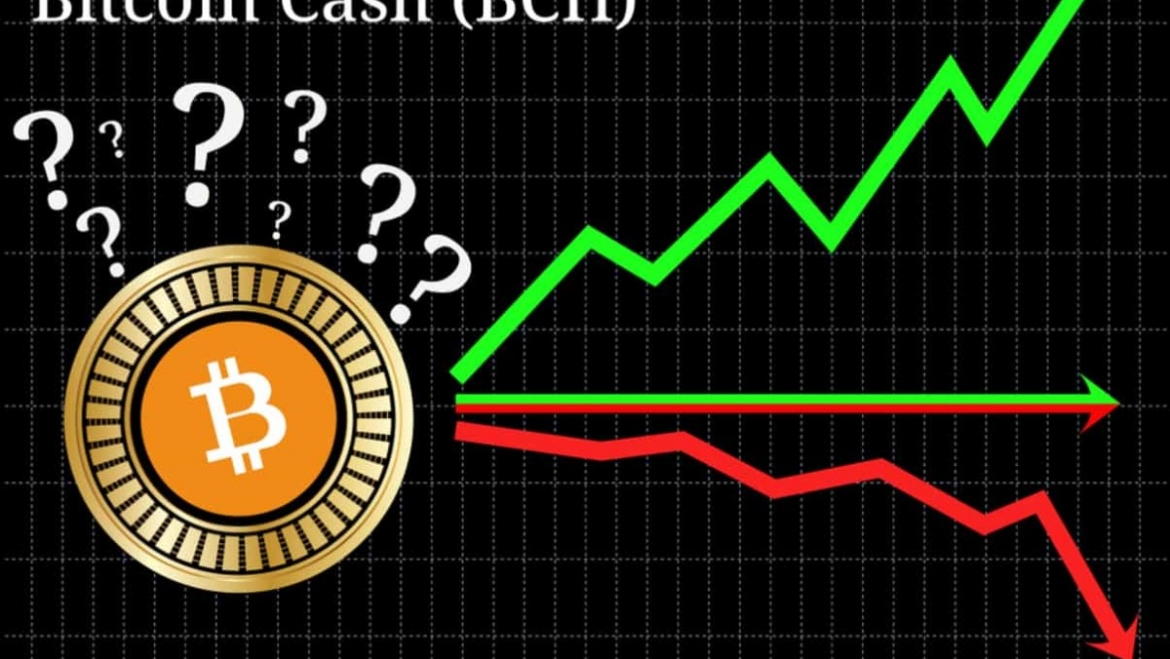 What is the upcoming halving of Bitcoin Cash?